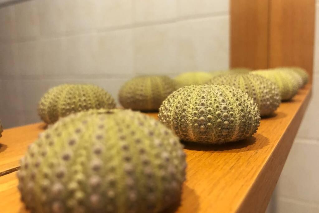 ロダルキラル Casa Granado En Cabo De Gataヴィラ エクステリア 写真