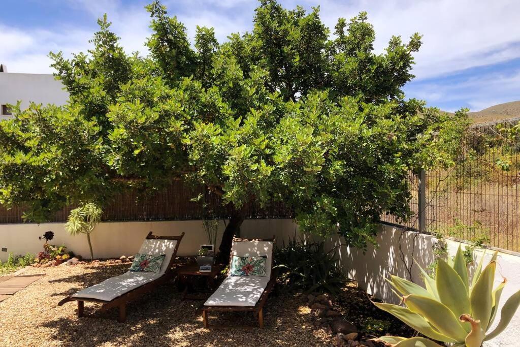 ロダルキラル Casa Granado En Cabo De Gataヴィラ エクステリア 写真