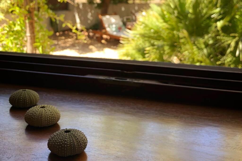 ロダルキラル Casa Granado En Cabo De Gataヴィラ エクステリア 写真