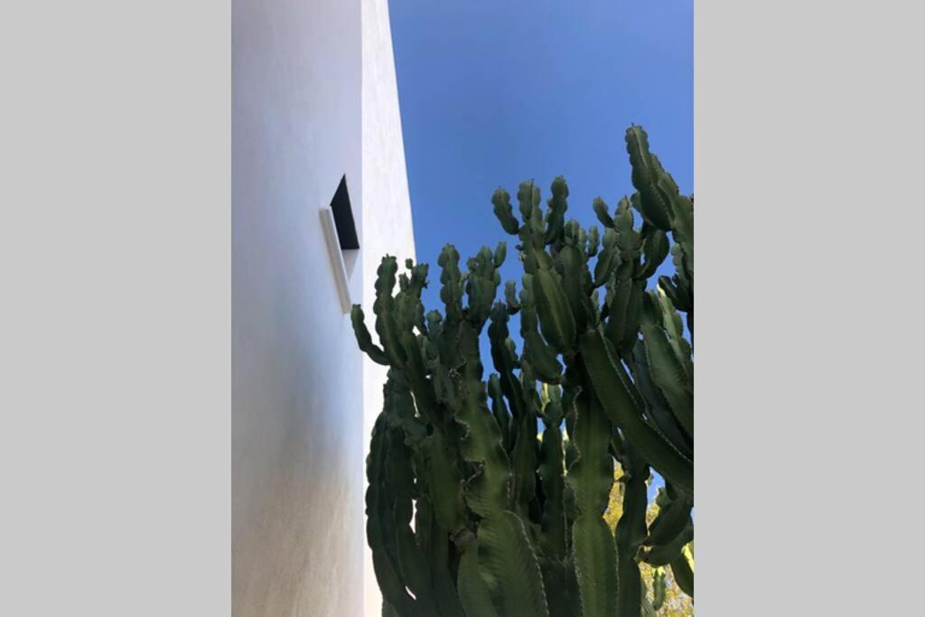 ロダルキラル Casa Granado En Cabo De Gataヴィラ エクステリア 写真